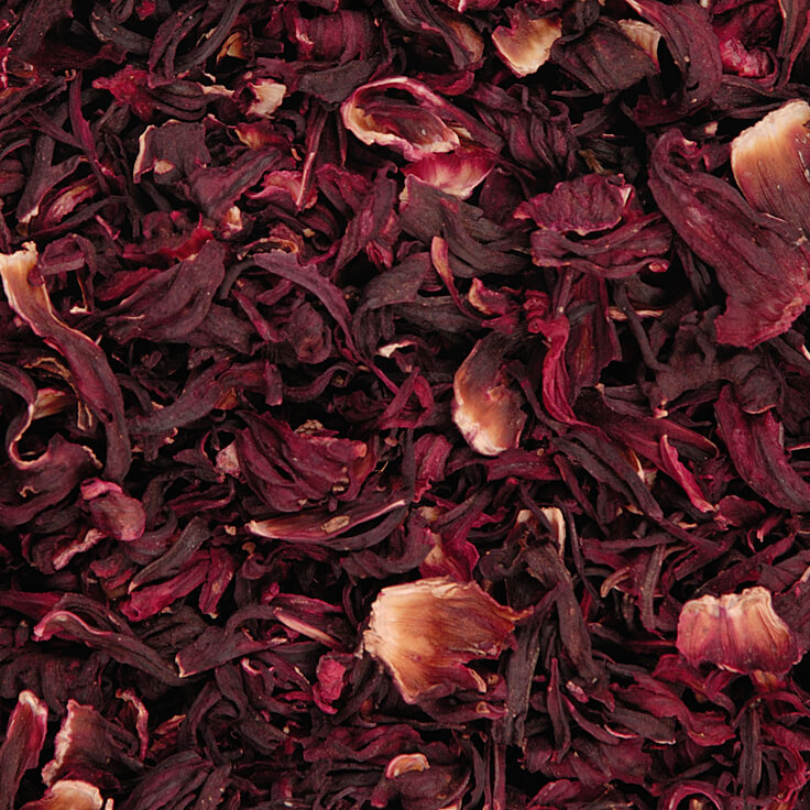 Hibiscus Flowers